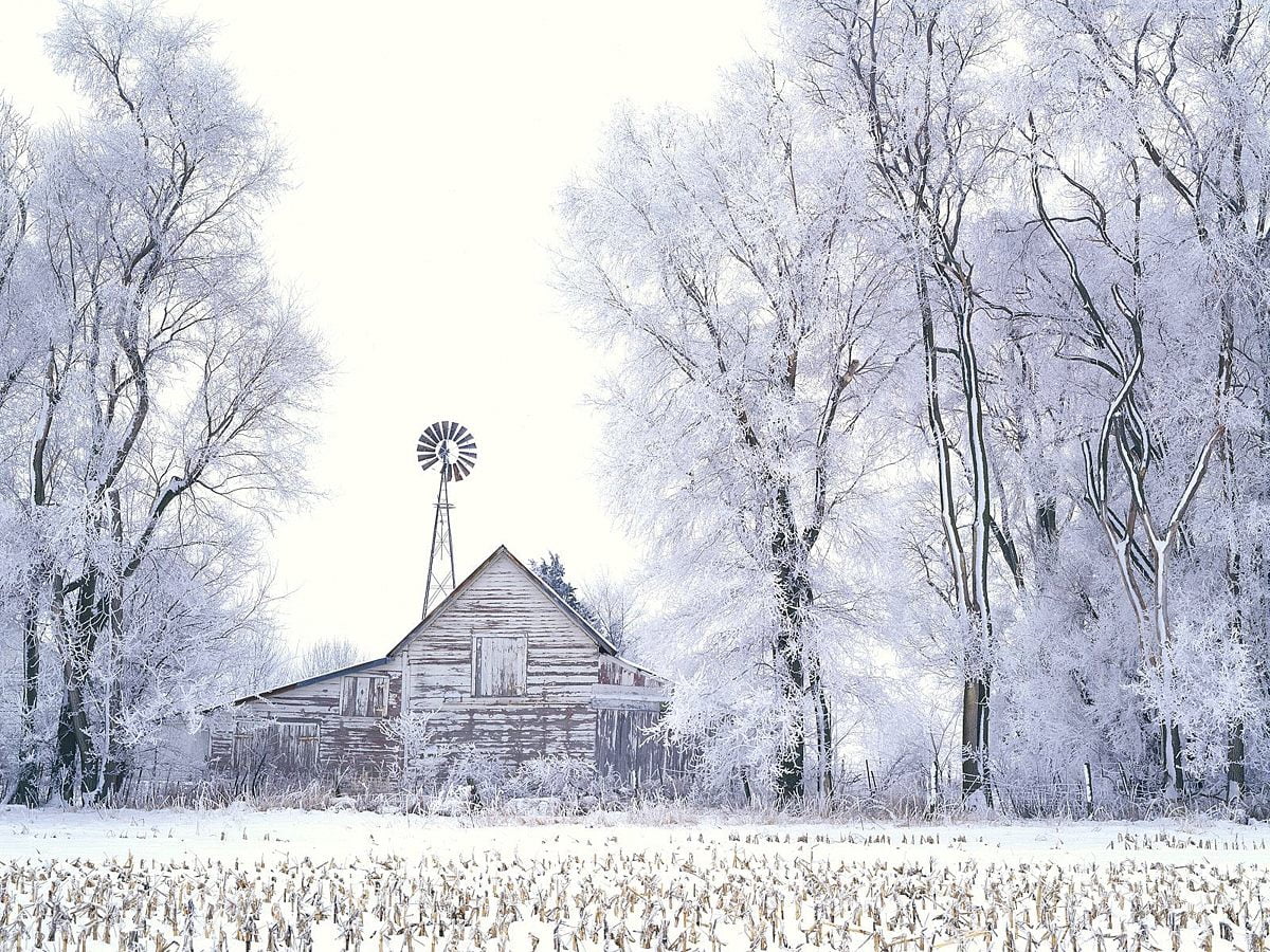 Pole pokryte śniegiem : obrazy na pulpit