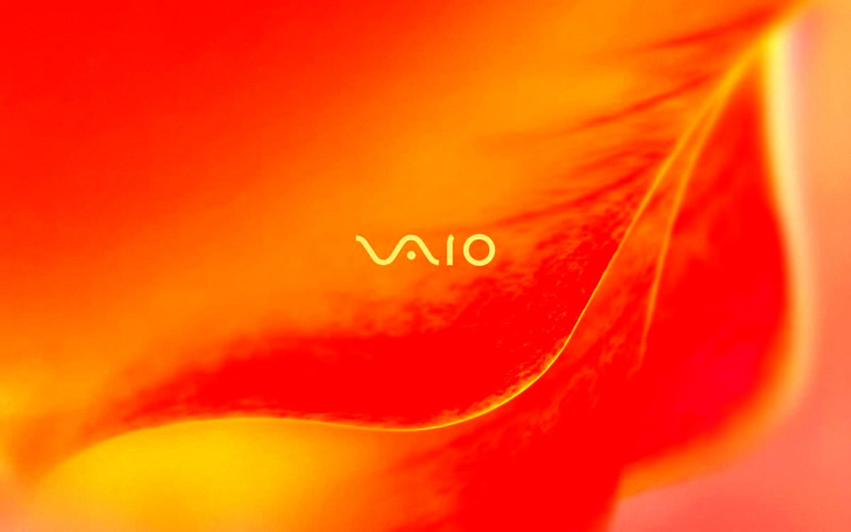 Sony VAIO, pomarańczowe, czerwone, żółte, różowe : tapeta na pulpit