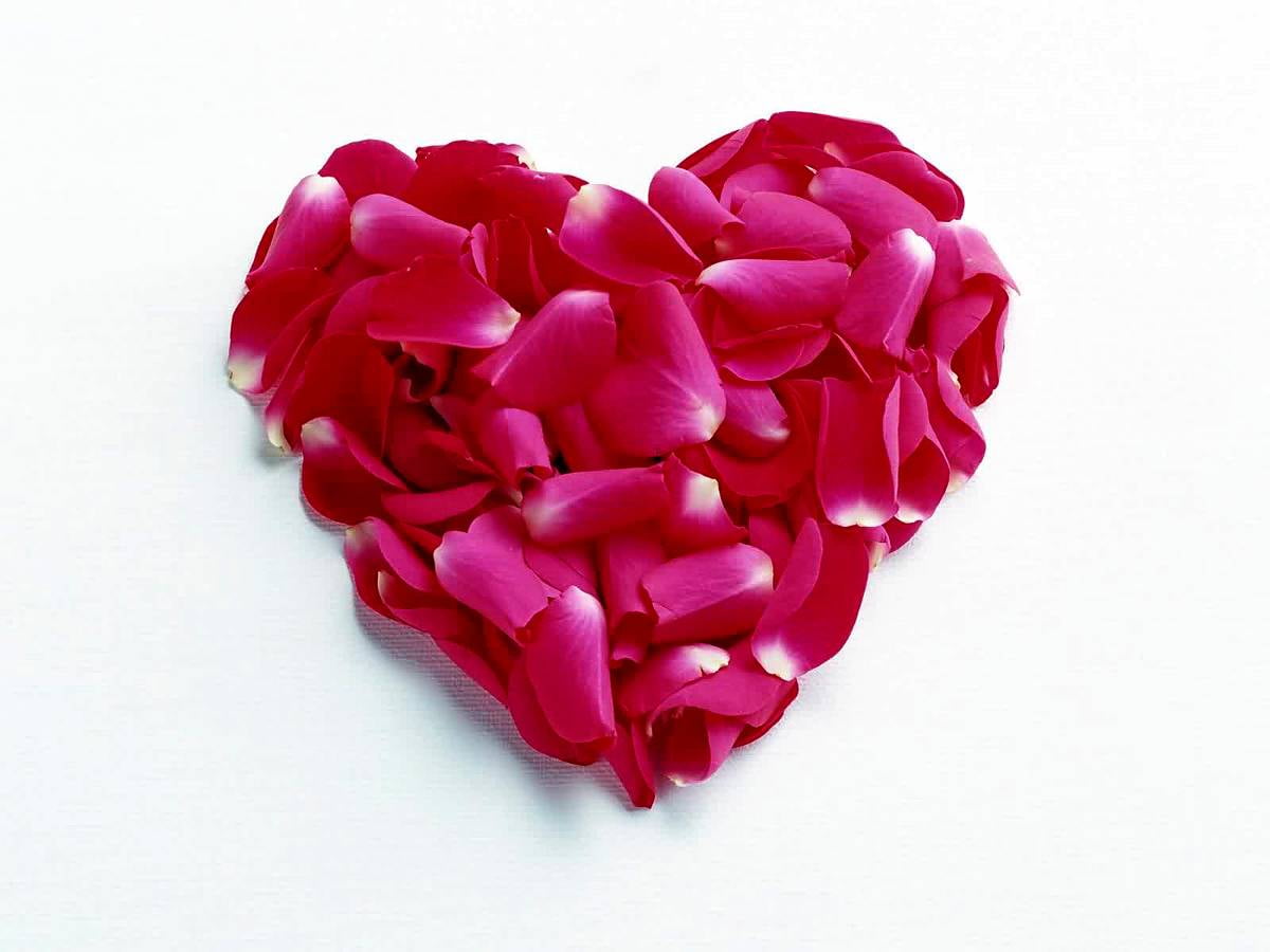 HD tapety na pulpit - Święty Walenty, różowe, płatek, serce, czerwone 1600x1200